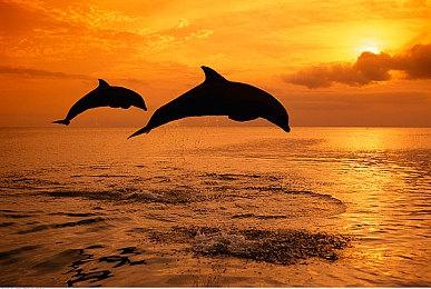 新《无主之地传说》在新加坡评级 更多细节内容披露